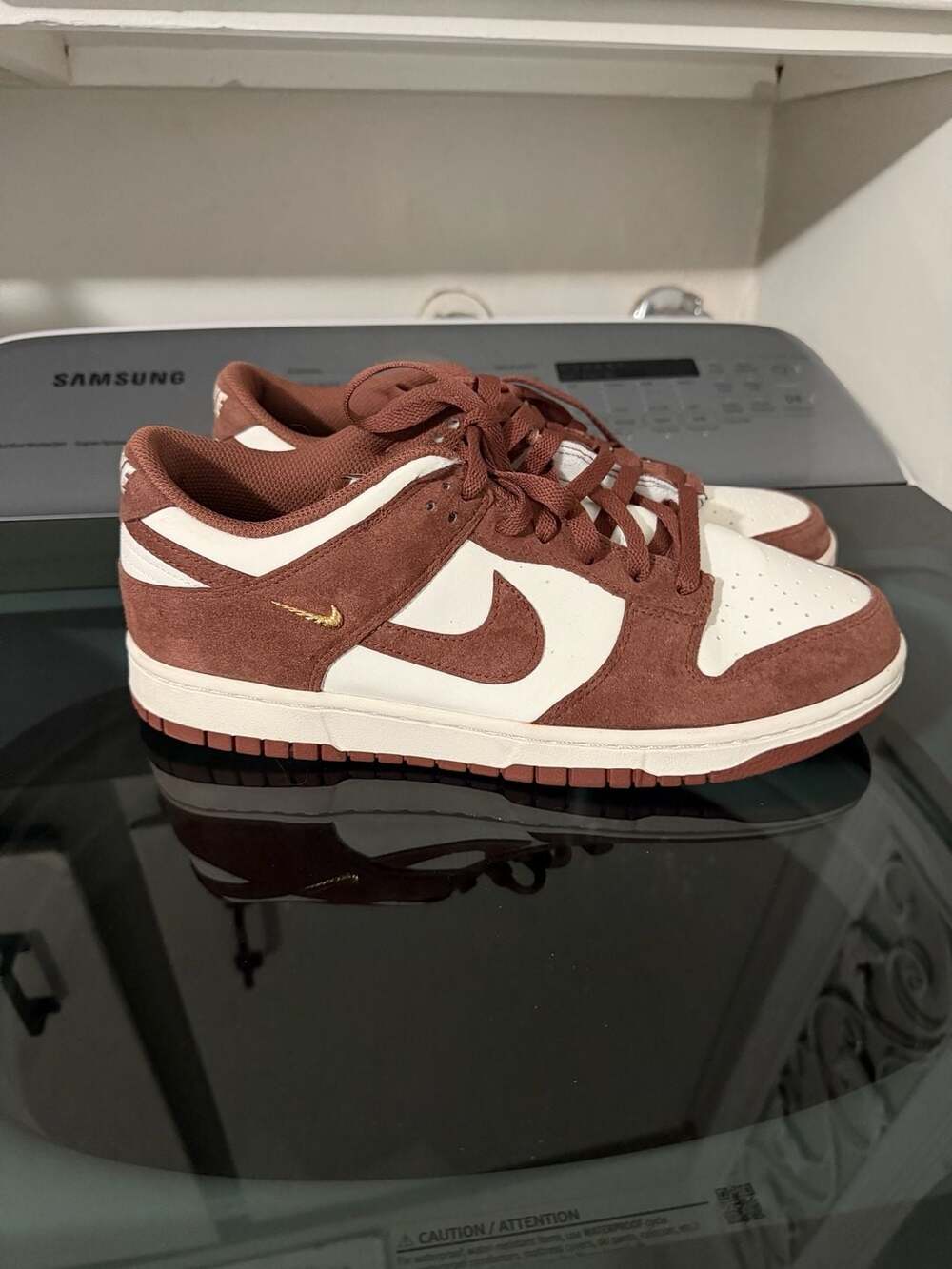 Nike Dunk Low Retro SE Red Sepia Fauna Brown